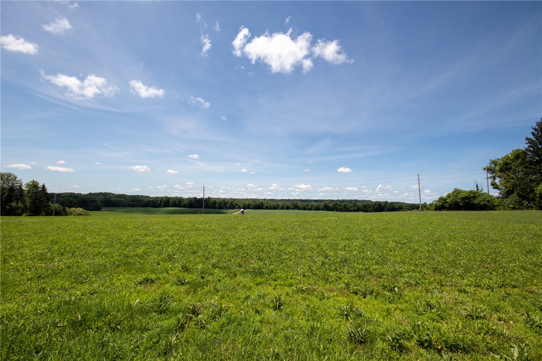 0 Desmith Road Arcadia, NY 14513 - Photo 12 of 15