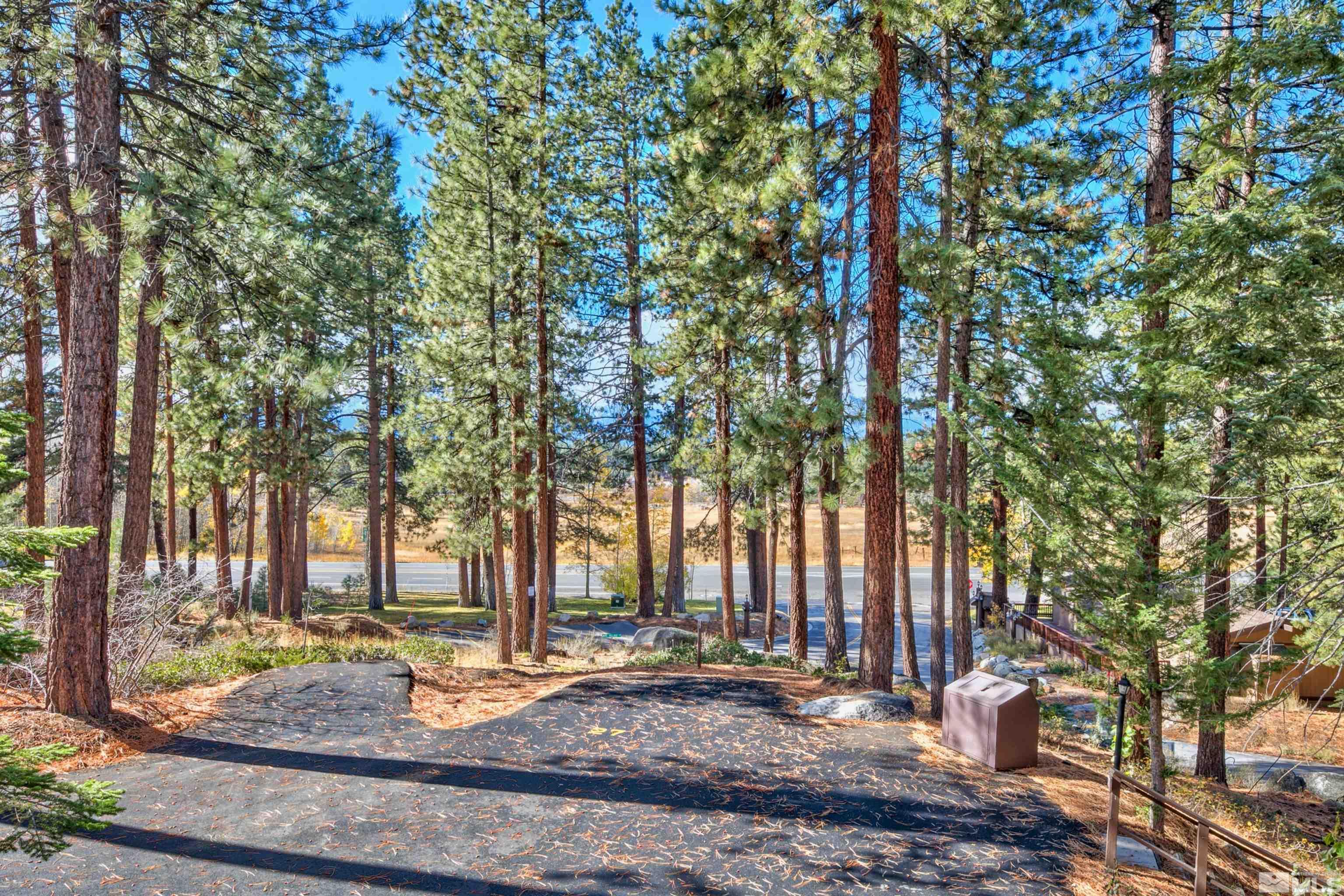 26 Cascade Court Stateline, NV 89449 - Photo 9 of 30 a view of a backyard with tree