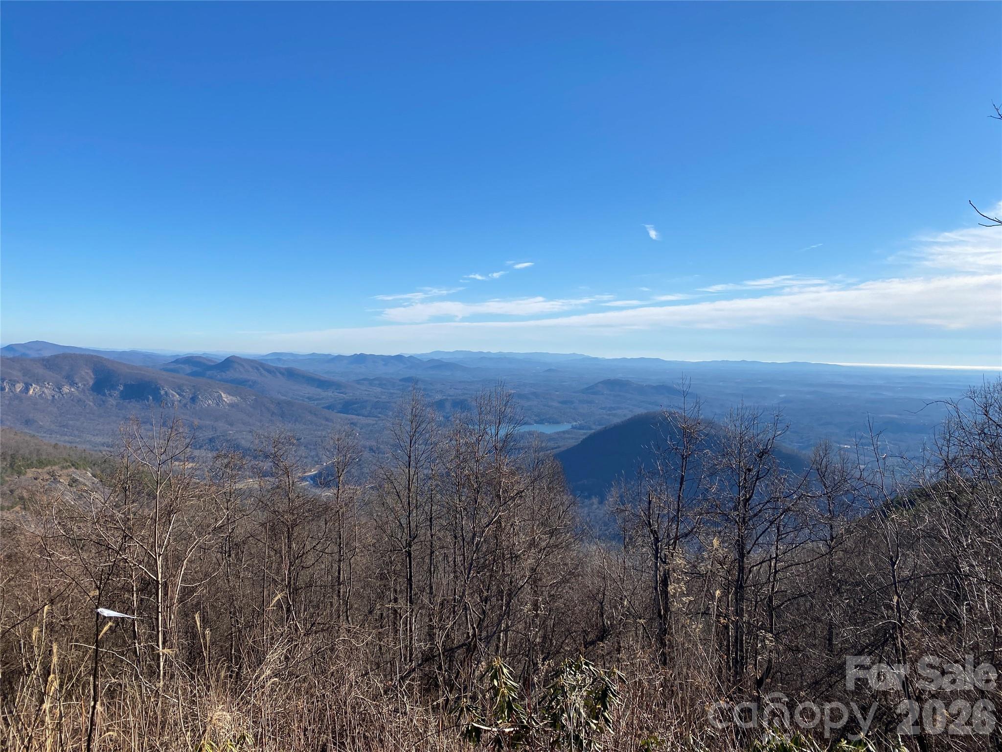 1170 Gabe Laughter Road Mill Spring, NC 28756 - Photo 5 of 6