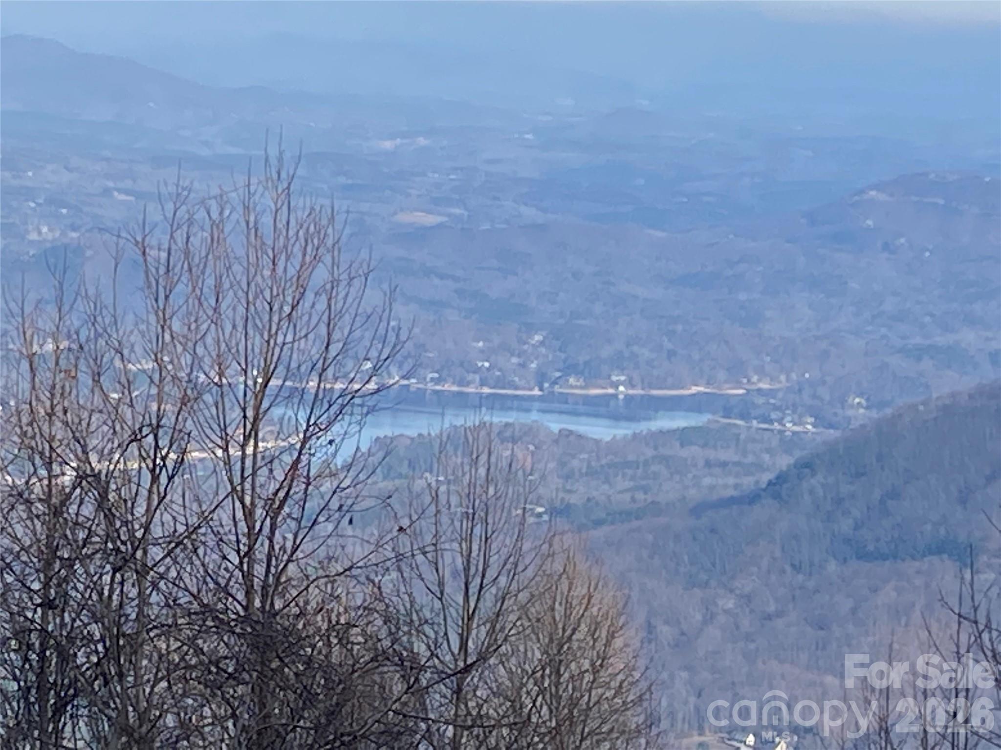 1170 Gabe Laughter Road Mill Spring, NC 28756 - Photo 6 of 6