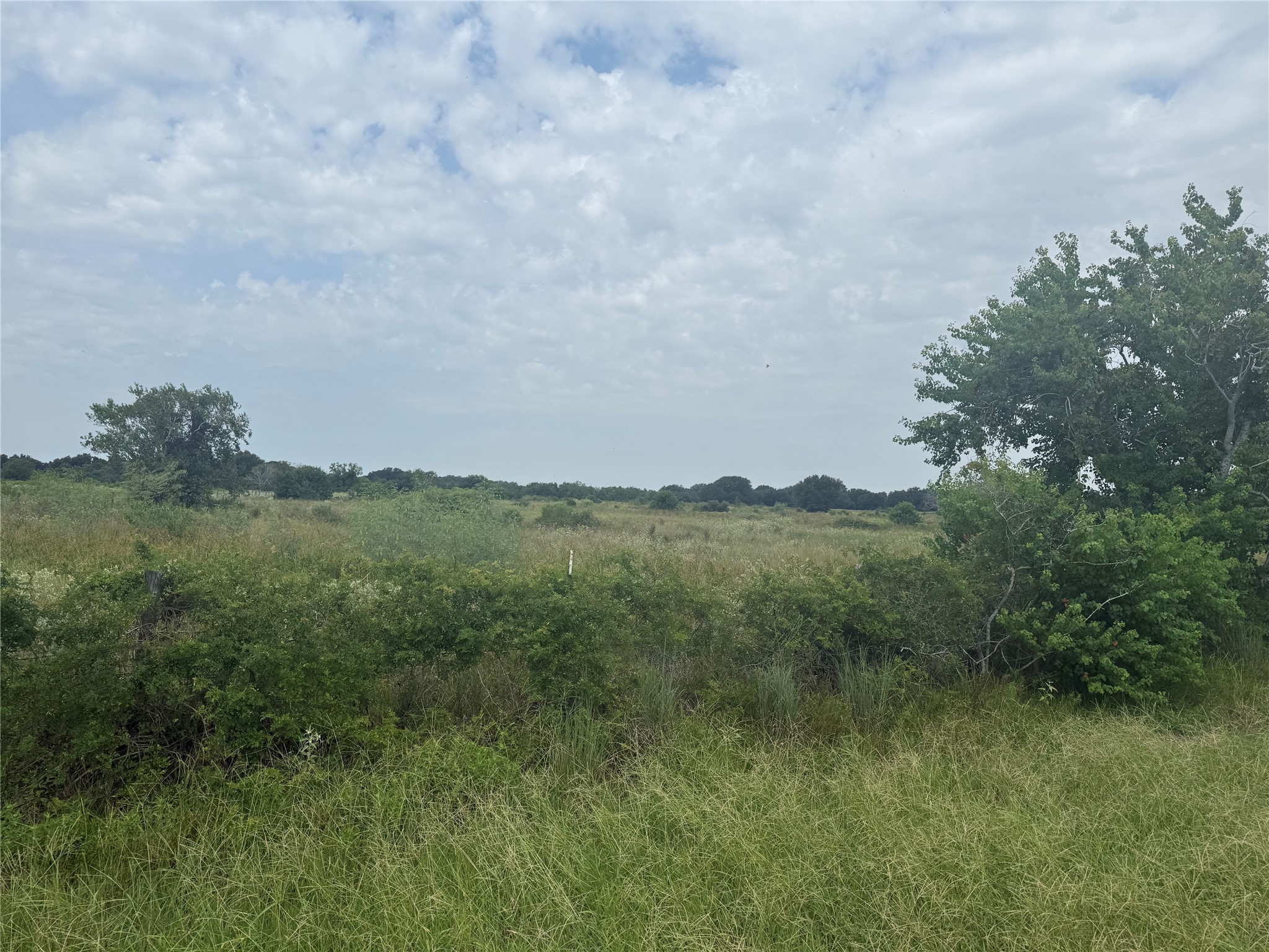 0 County Road 25 Damon, TX 77430 - Photo 2 of 6
