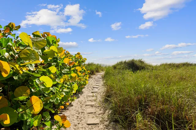 a view of an ocean and beach