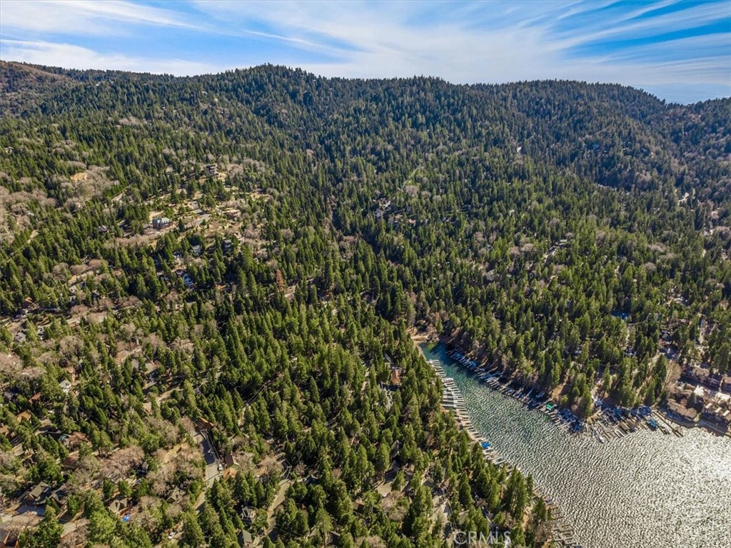 109 Mill Pond Road Lake Arrowhead, CA 92352 - Photo 31 of 43