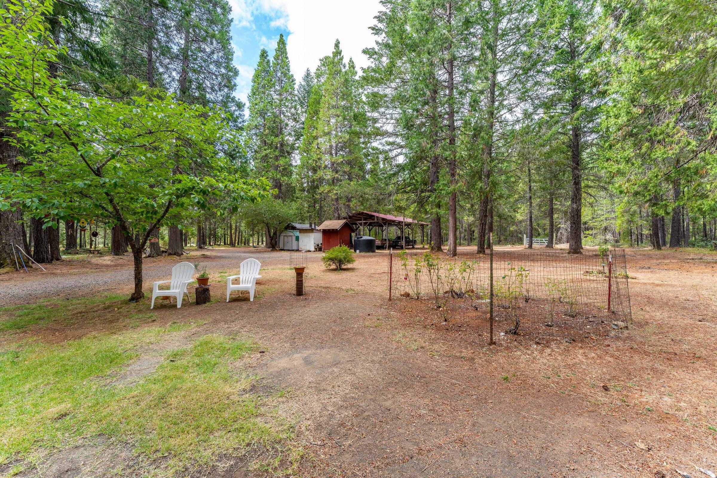 755 Rough And Ready Creek Road Cave Junction, OR 97523 - Photo 16 of 26 20240917175849920044000000-o