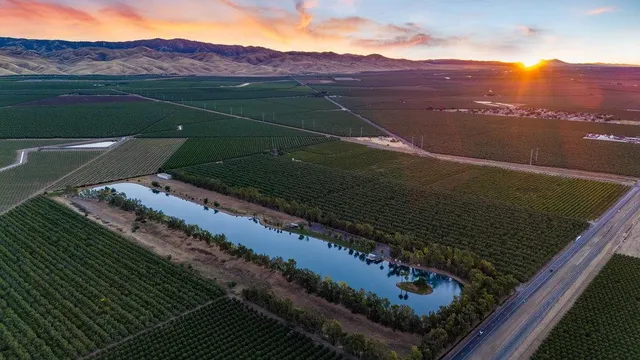a view of a chairs in the terrace