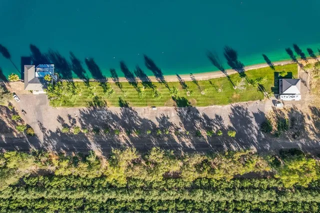 a view of a bunch of plants and tree