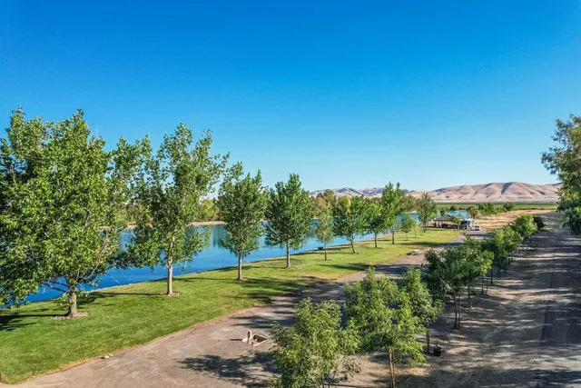a view of a park with large trees
