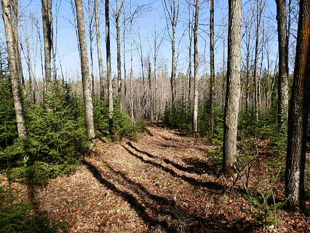 70 Fifield Wi 54524, Unit A Fifield, WI 54524 - Photo 12 of 18 Gallery Image 12