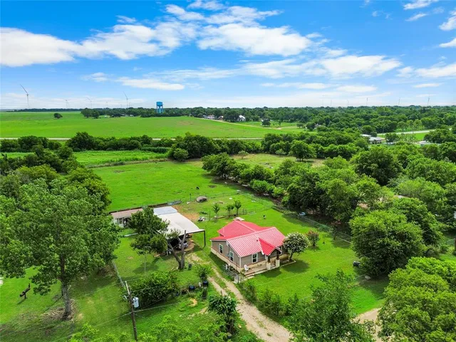 a view of a flower in a garden
