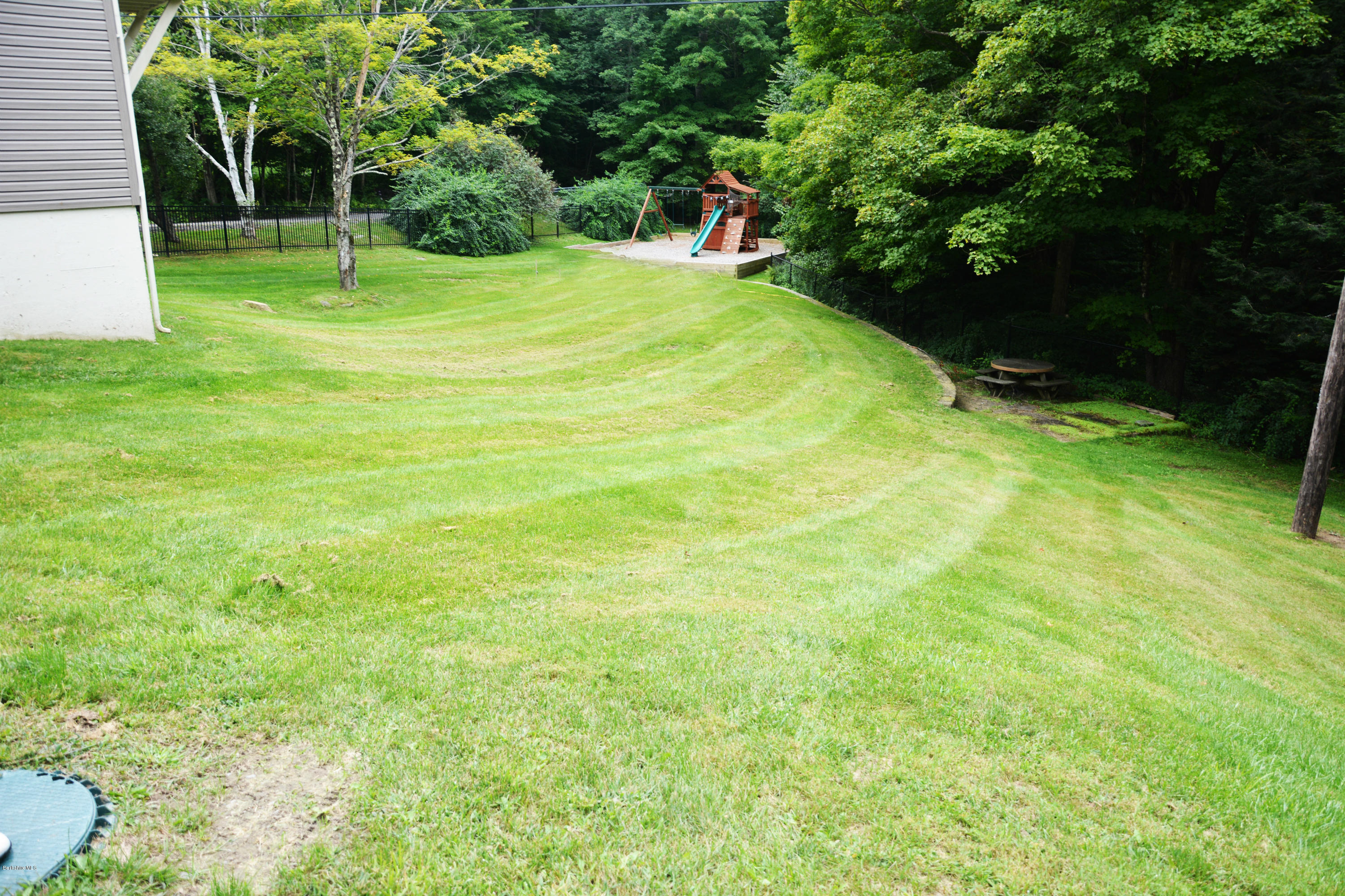 53 Roys Road New Ashford, MA 01237 - Photo 22 of 23 Back Yard