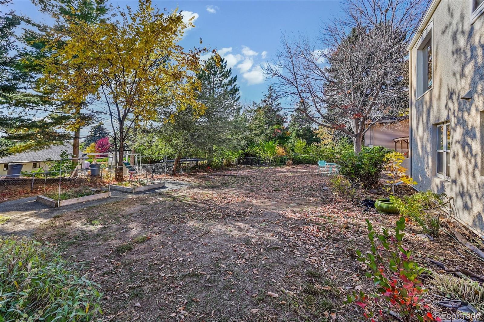 2002 West Ridge Road Littleton, CO 80120 - Photo 39 of 50 a view of a forest with trees