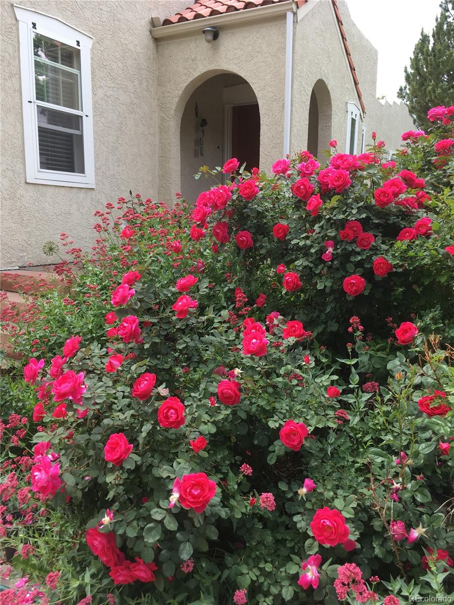 2002 West Ridge Road Littleton, CO 80120 - Photo 43 of 50 a view of front door with house and lot of flowers flowers