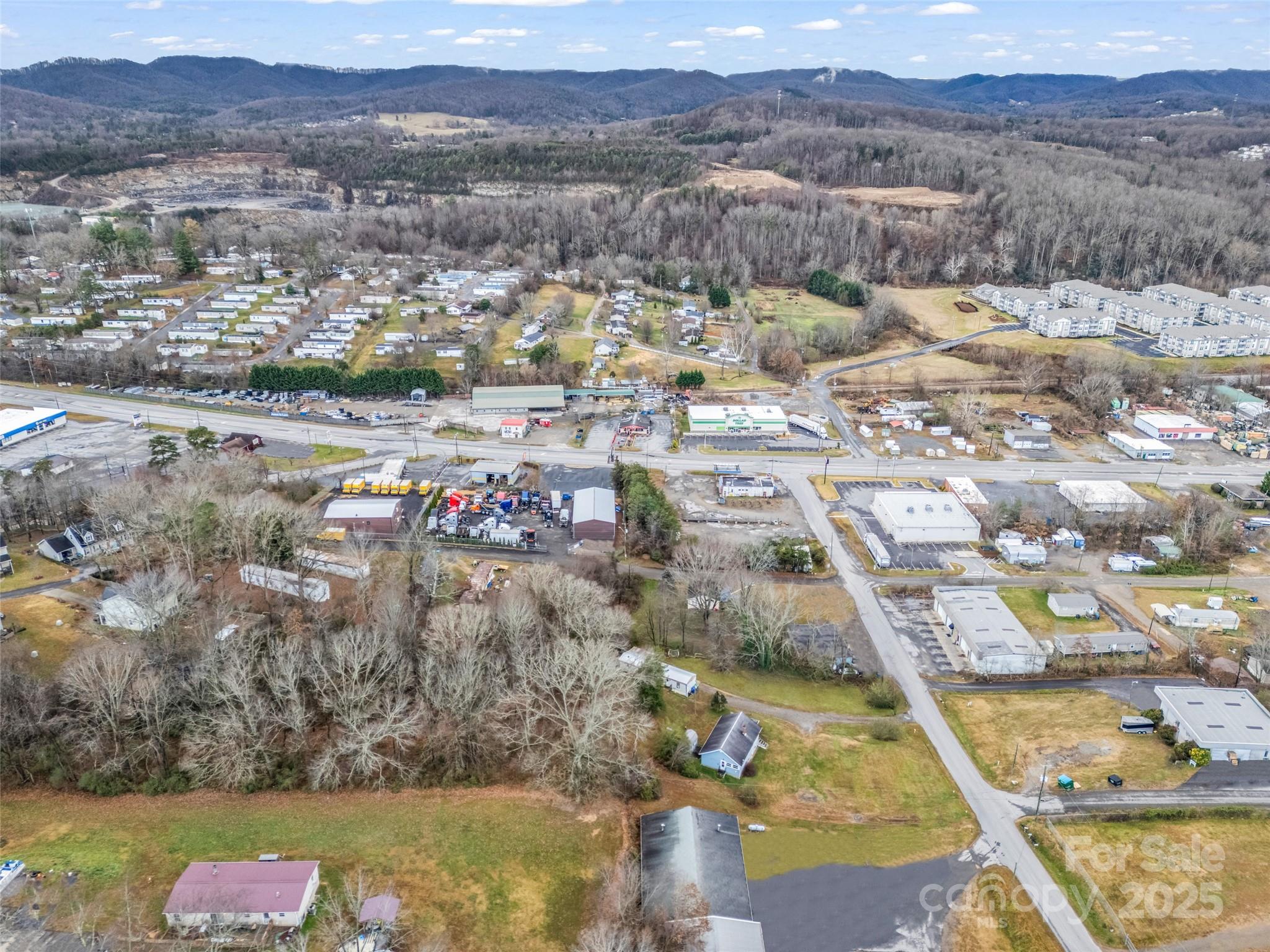 120 Maple Ridge Road Candler, NC 28715 - Photo 30 of 39