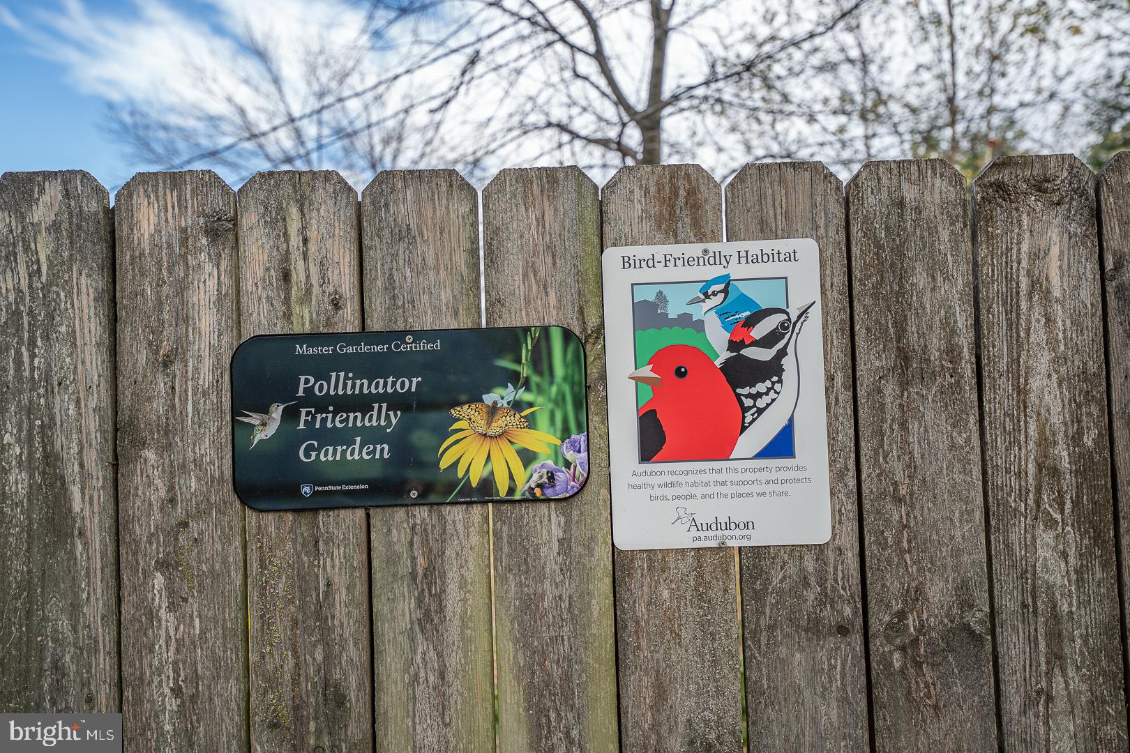 603 South Devon Avenue Wayne, PA 19087 - Photo 24 of 34 Award winning pollinator and bird friendly yard