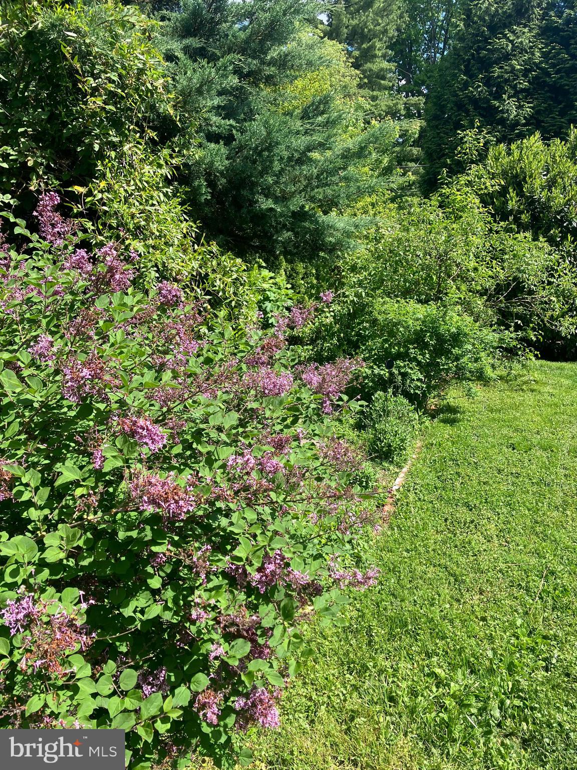 603 South Devon Avenue Wayne, PA 19087 - Photo 30 of 34 Garden