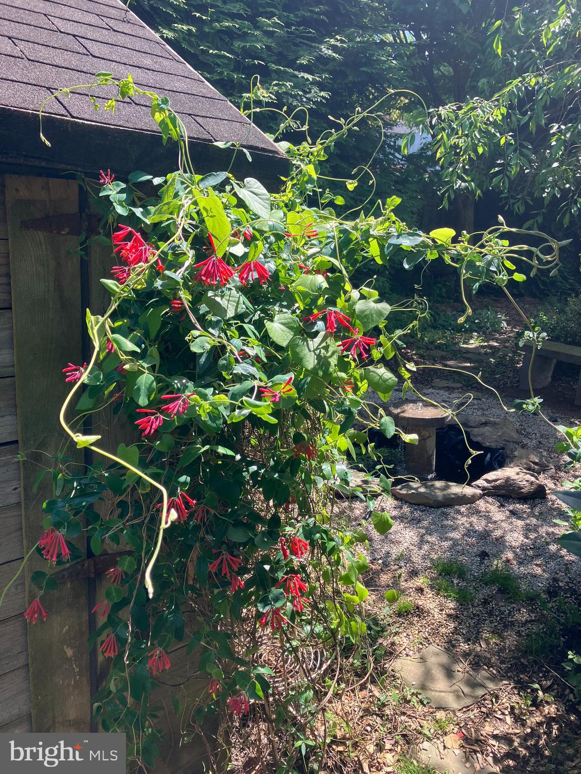 603 South Devon Avenue Wayne, PA 19087 - Photo 31 of 34 The pollinator garden is full of beauty!