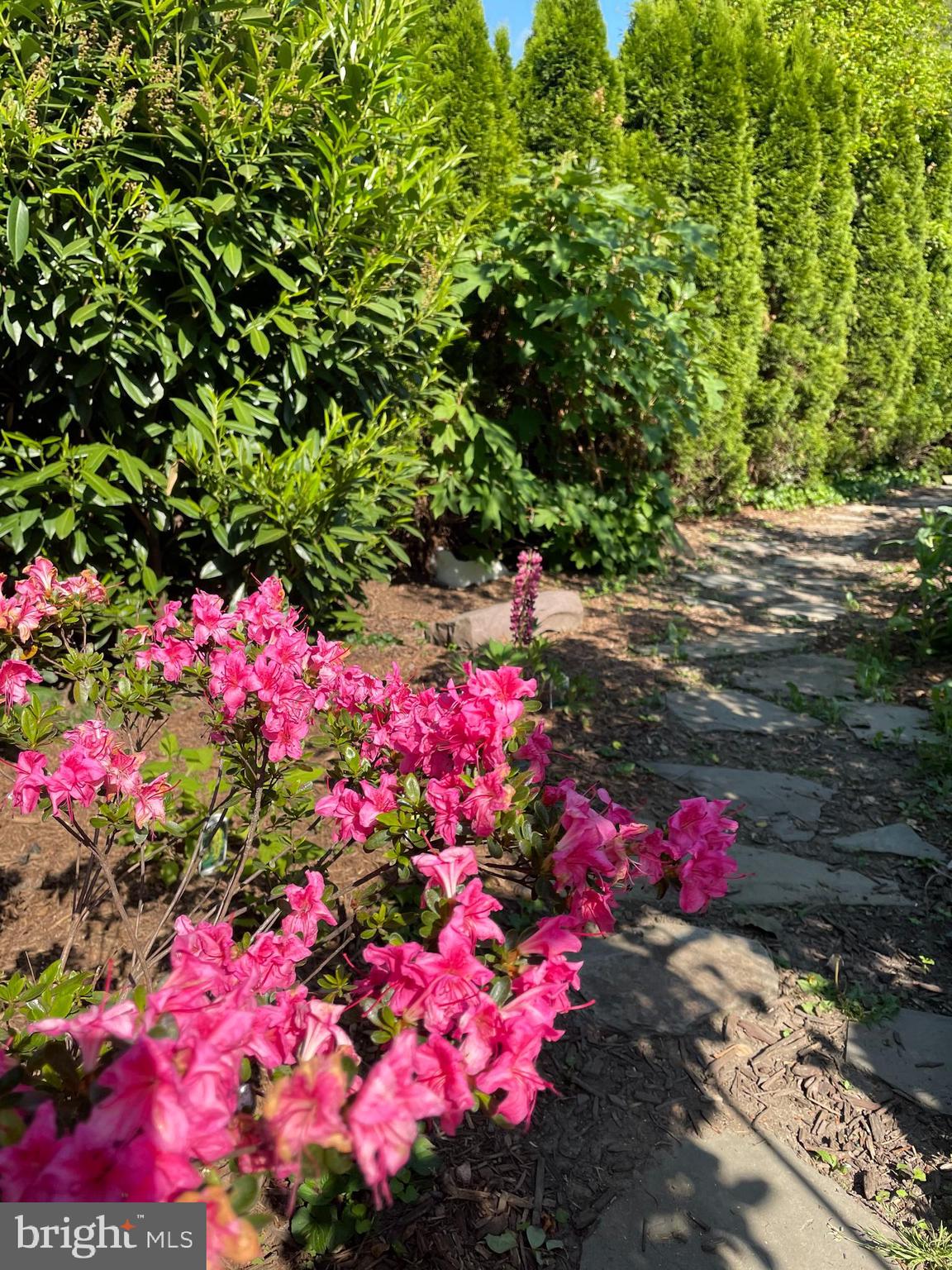 603 South Devon Avenue Wayne, PA 19087 - Photo 32 of 34 Meander through the Secret Garden path.