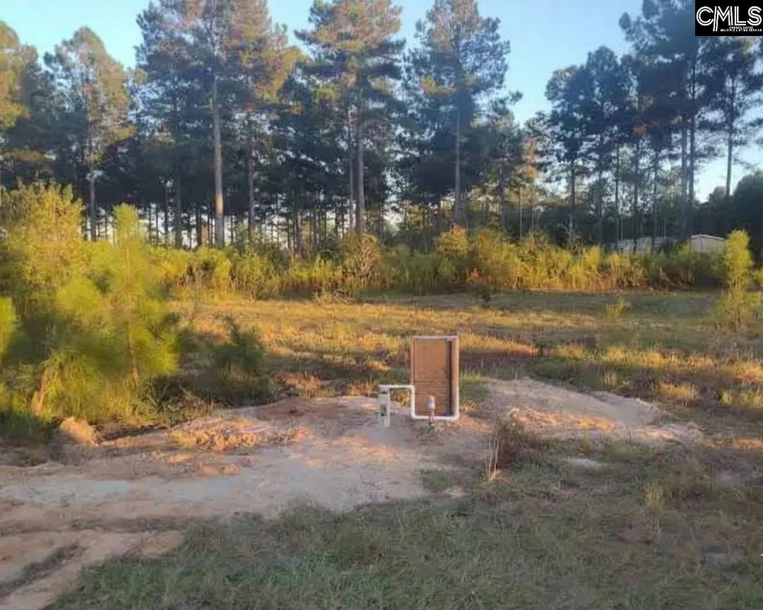 Tbd Poinsettia Road Wagener, SC 29164 - Photo 2 of 5