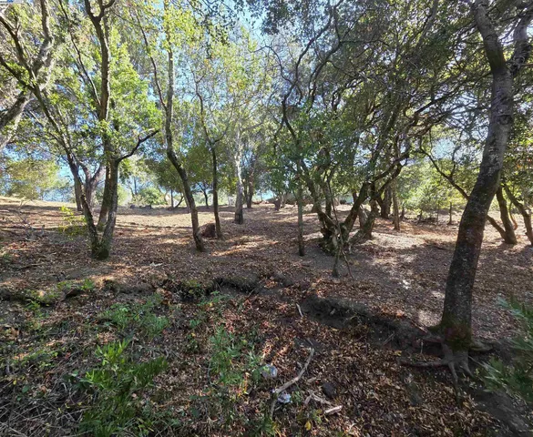 a view of outdoor space with lots of trees