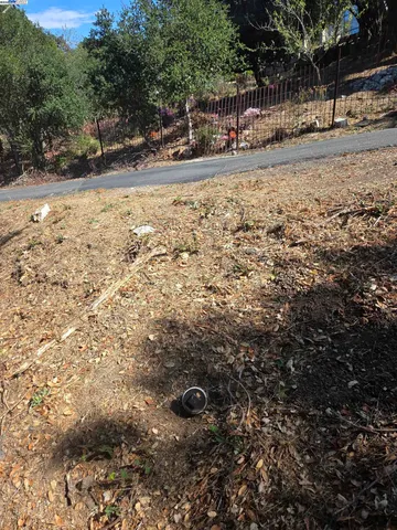 a view of road and yard