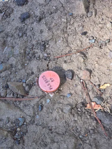 a view of a dry yard