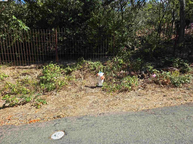 a view of a yard with large trees