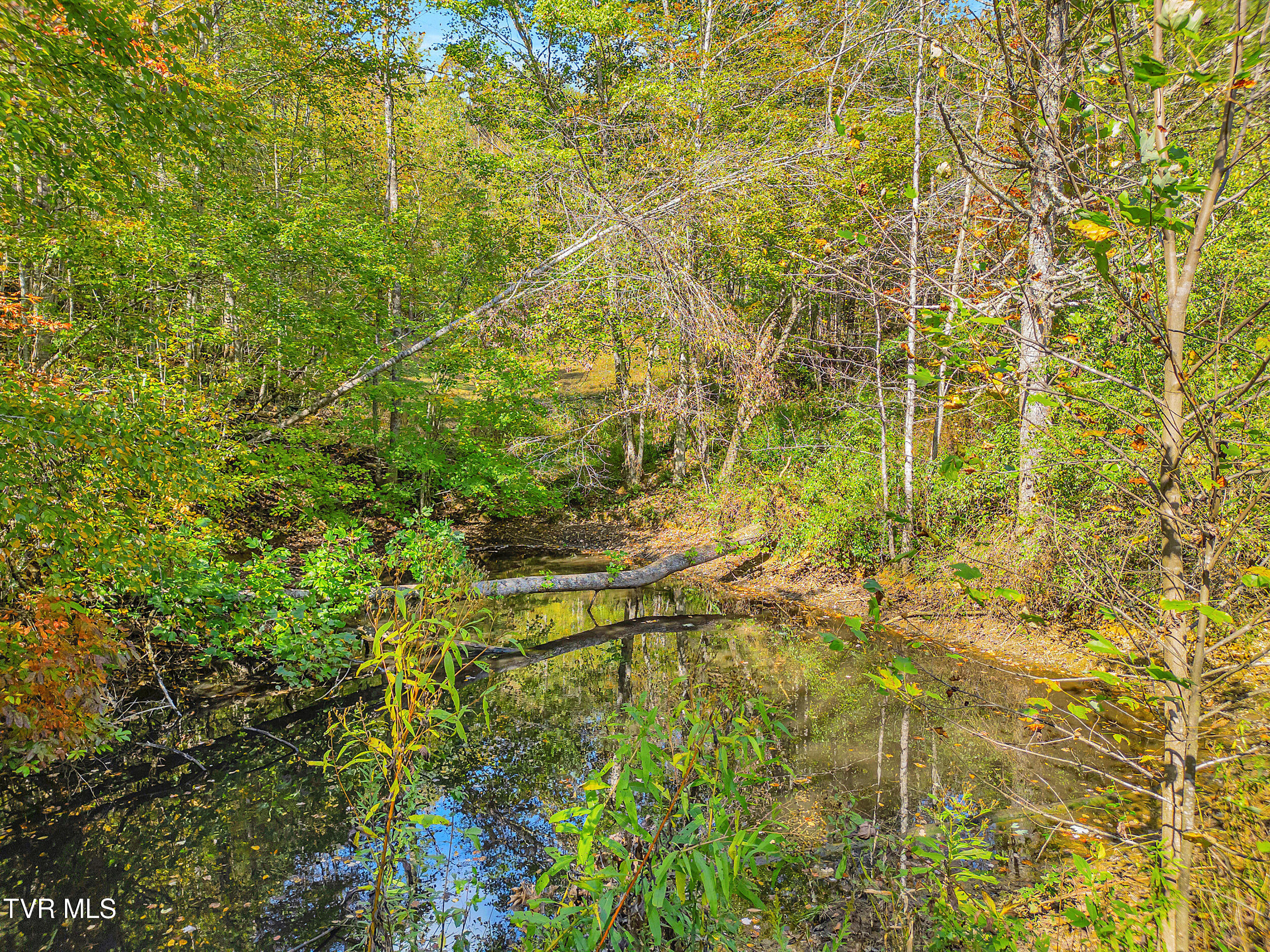 4379 Pine Orchard Road Butler, TN 37640 - Photo 39 of 57 45_18