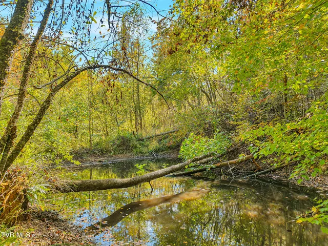 $679,000 | 4379 Pine Orchard Road, Butler, TN 37640