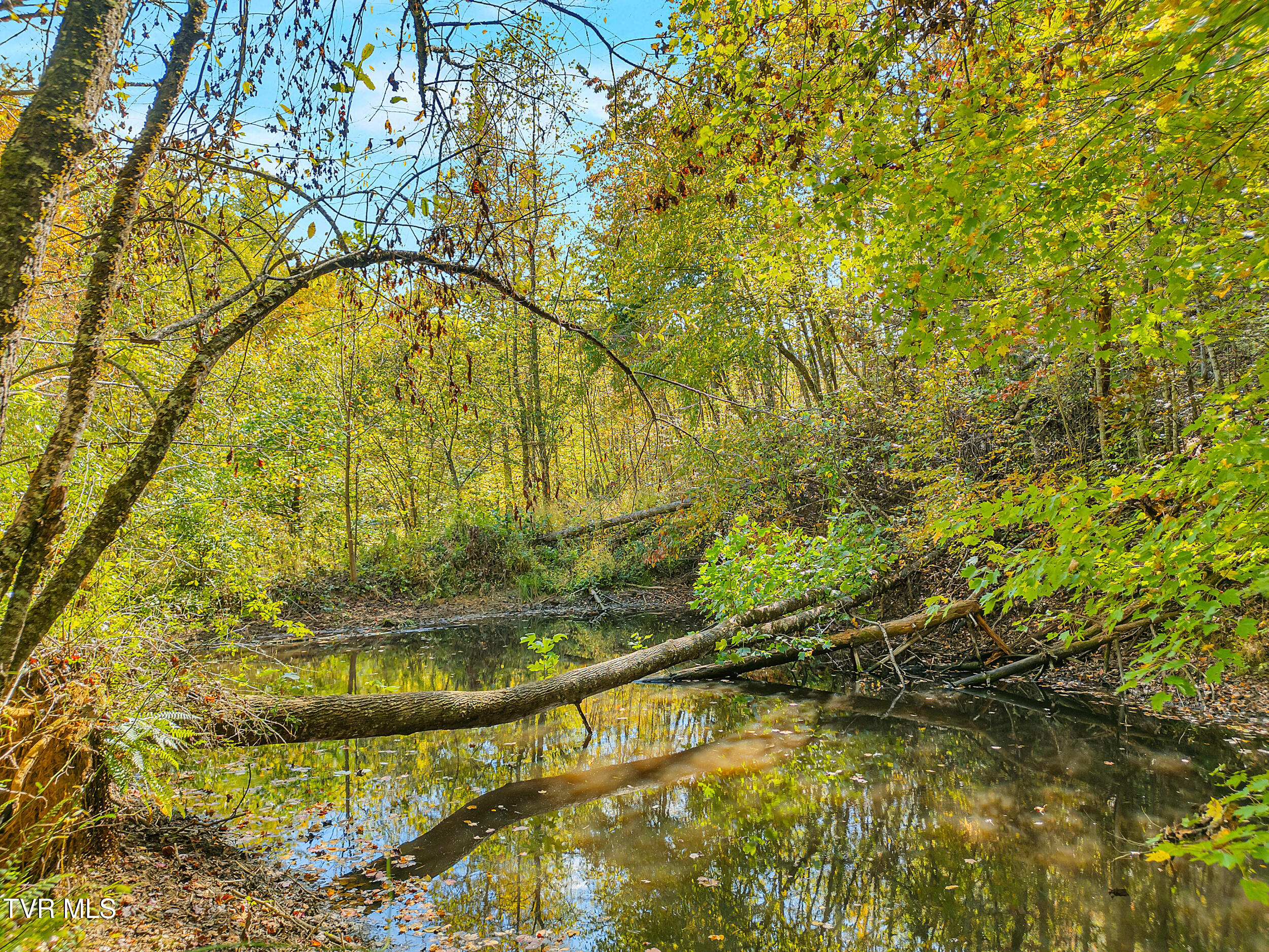 4379 Pine Orchard Road Butler, TN 37640 - Photo 40 of 57 46_23
