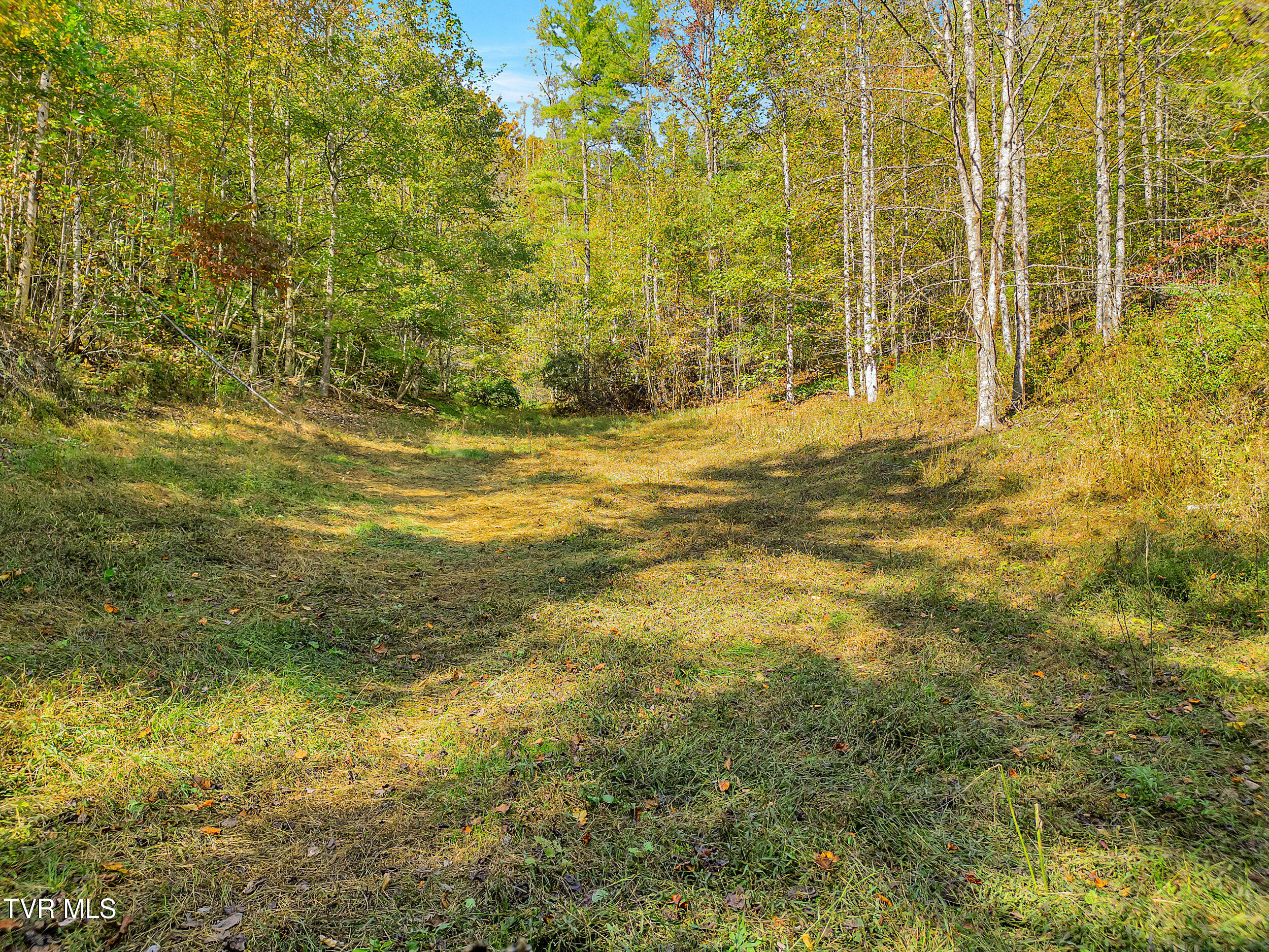 4379 Pine Orchard Road Butler, TN 37640 - Photo 41 of 57 47_24