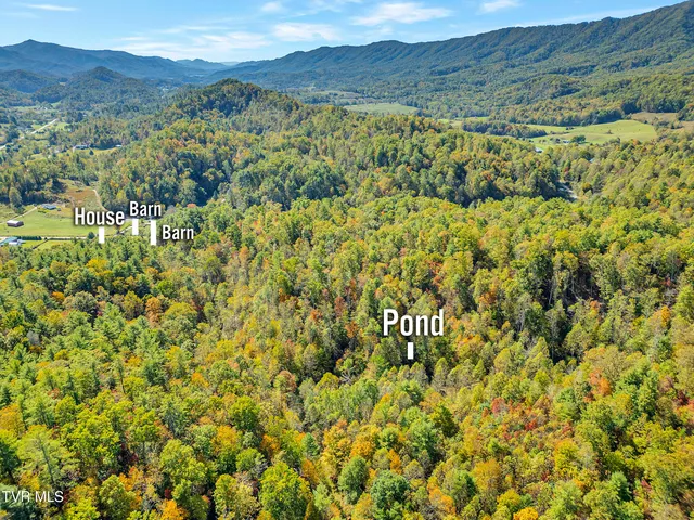 $679,000 | 4379 Pine Orchard Road, Butler, TN 37640