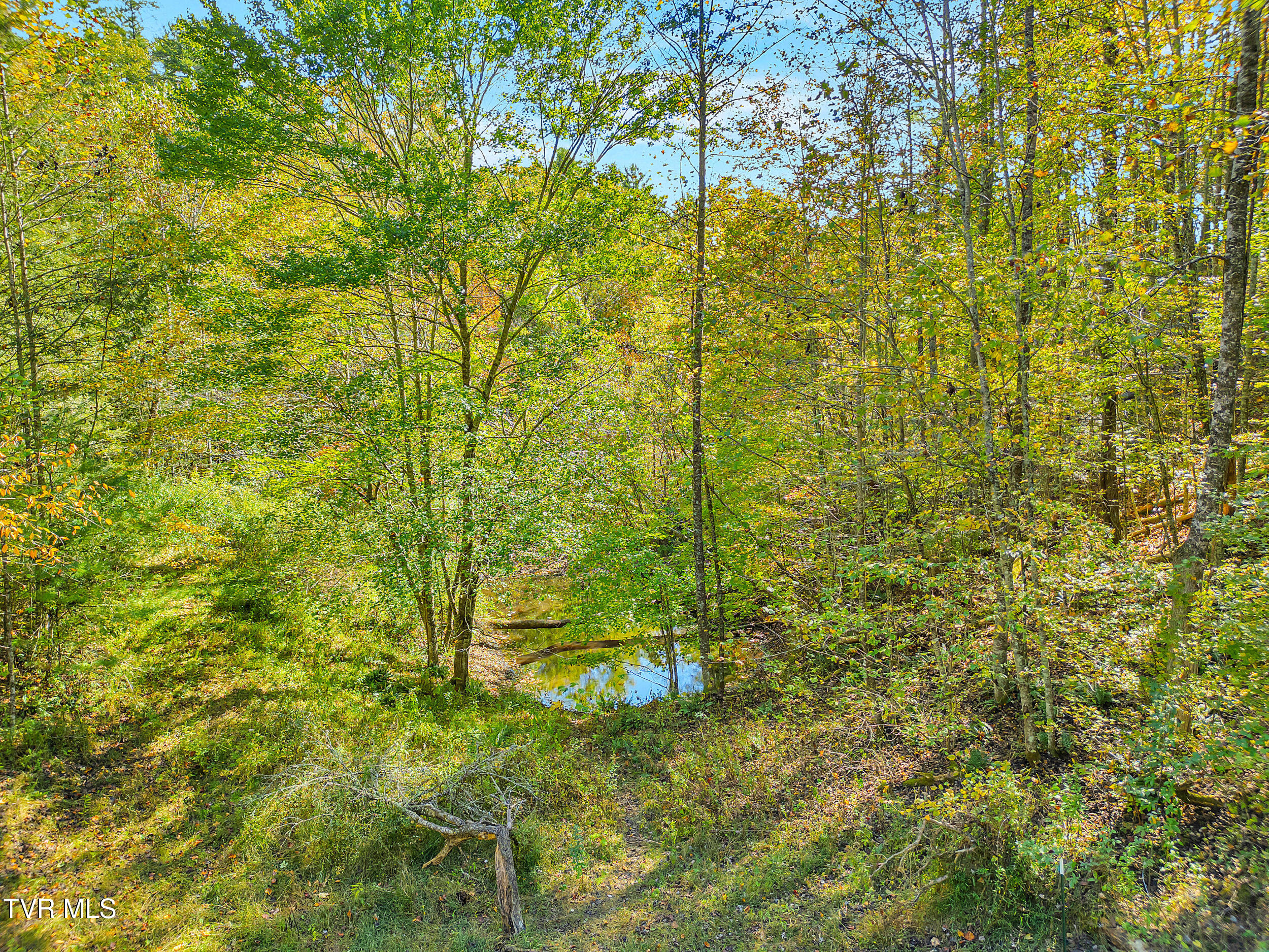 4379 Pine Orchard Road Butler, TN 37640 - Photo 47 of 57 44_19