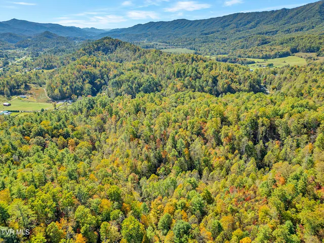 $679,000 | 4379 Pine Orchard Road, Butler, TN 37640