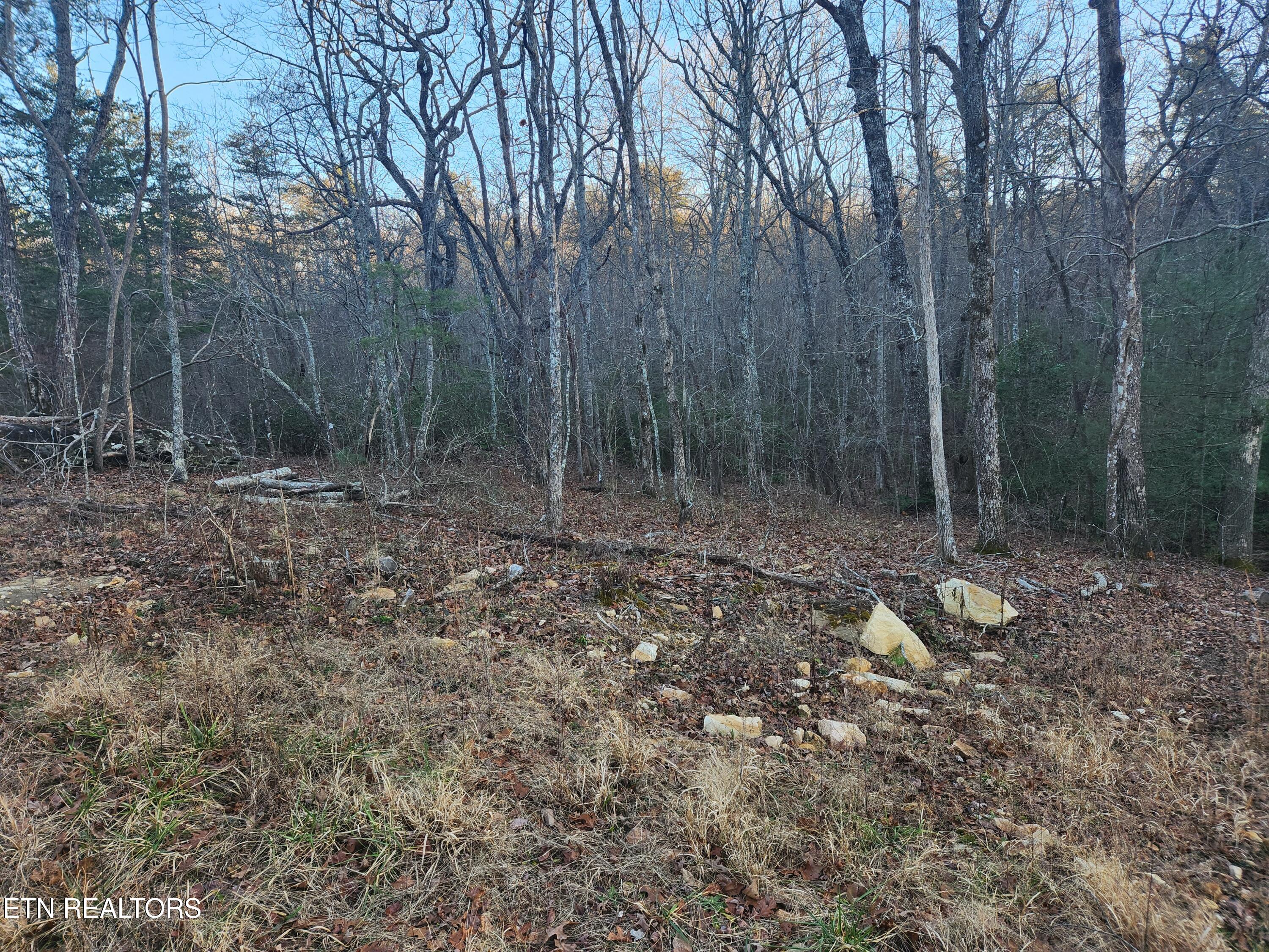 448 St George Drive Crossville, TN 38558 - Photo 1 of 8 20260113_160829