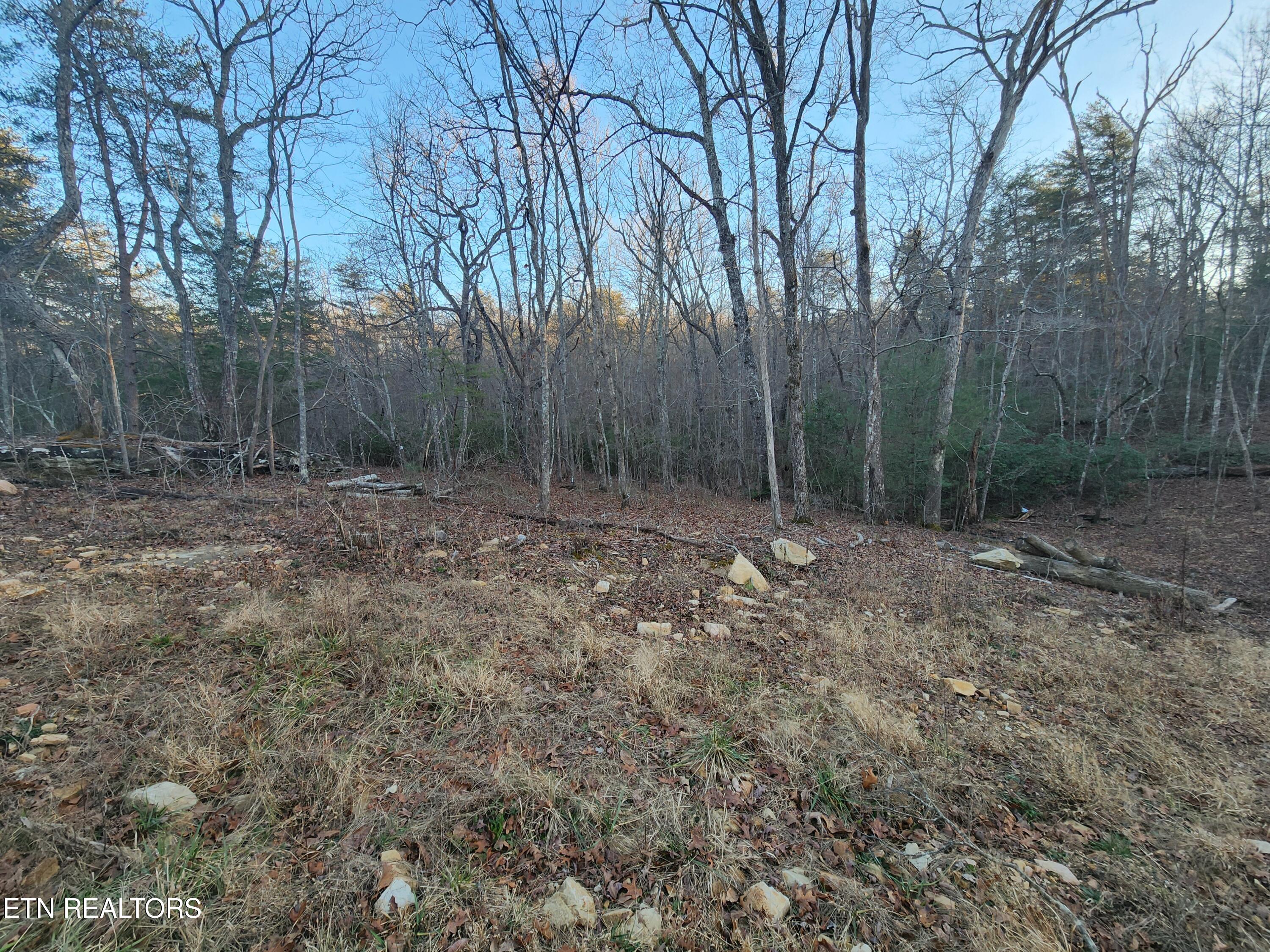 448 St George Drive Crossville, TN 38558 - Photo 2 of 8 20260113_160835