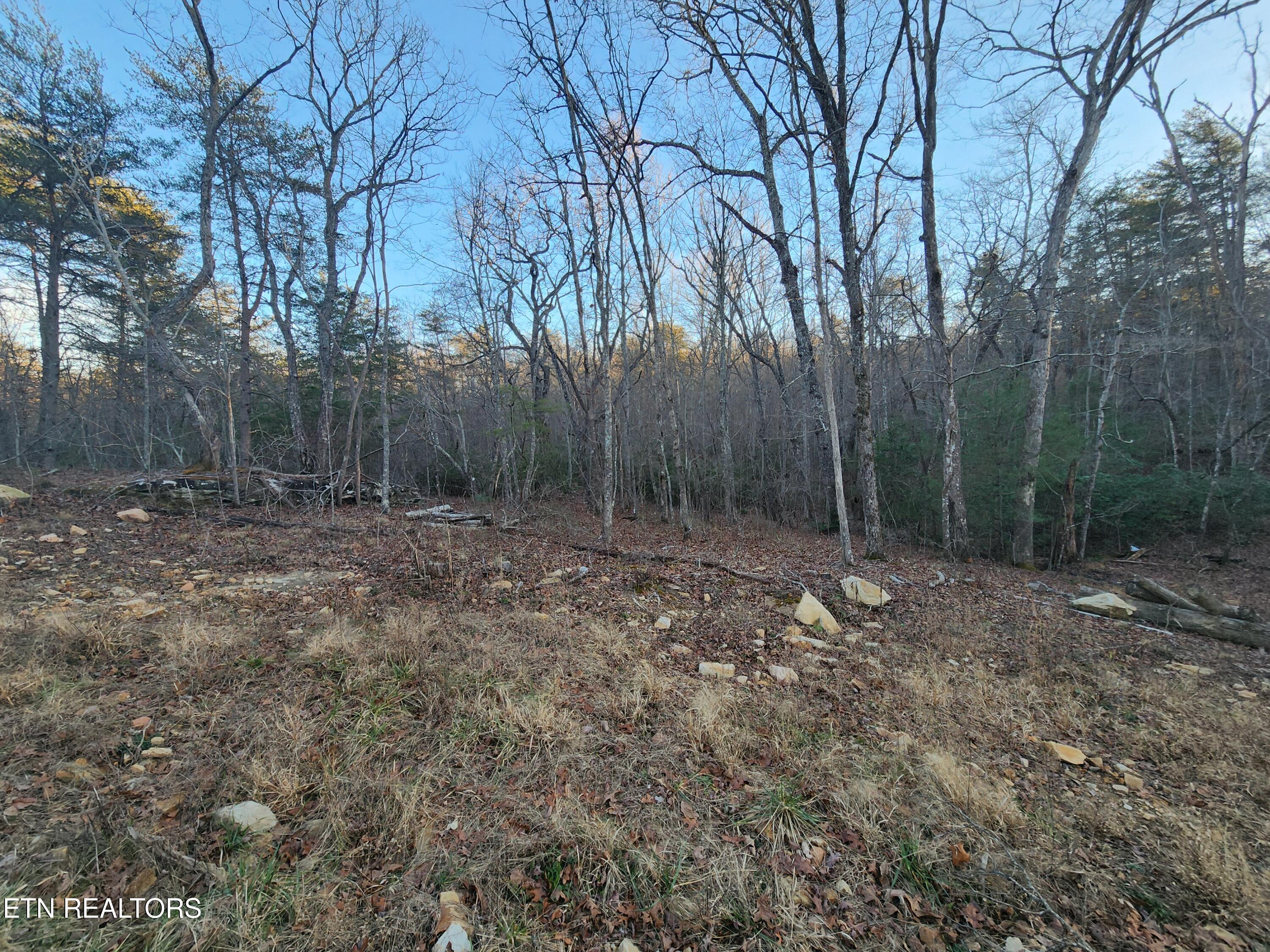 448 St George Drive Crossville, TN 38558 - Photo 3 of 8 20260113_160839