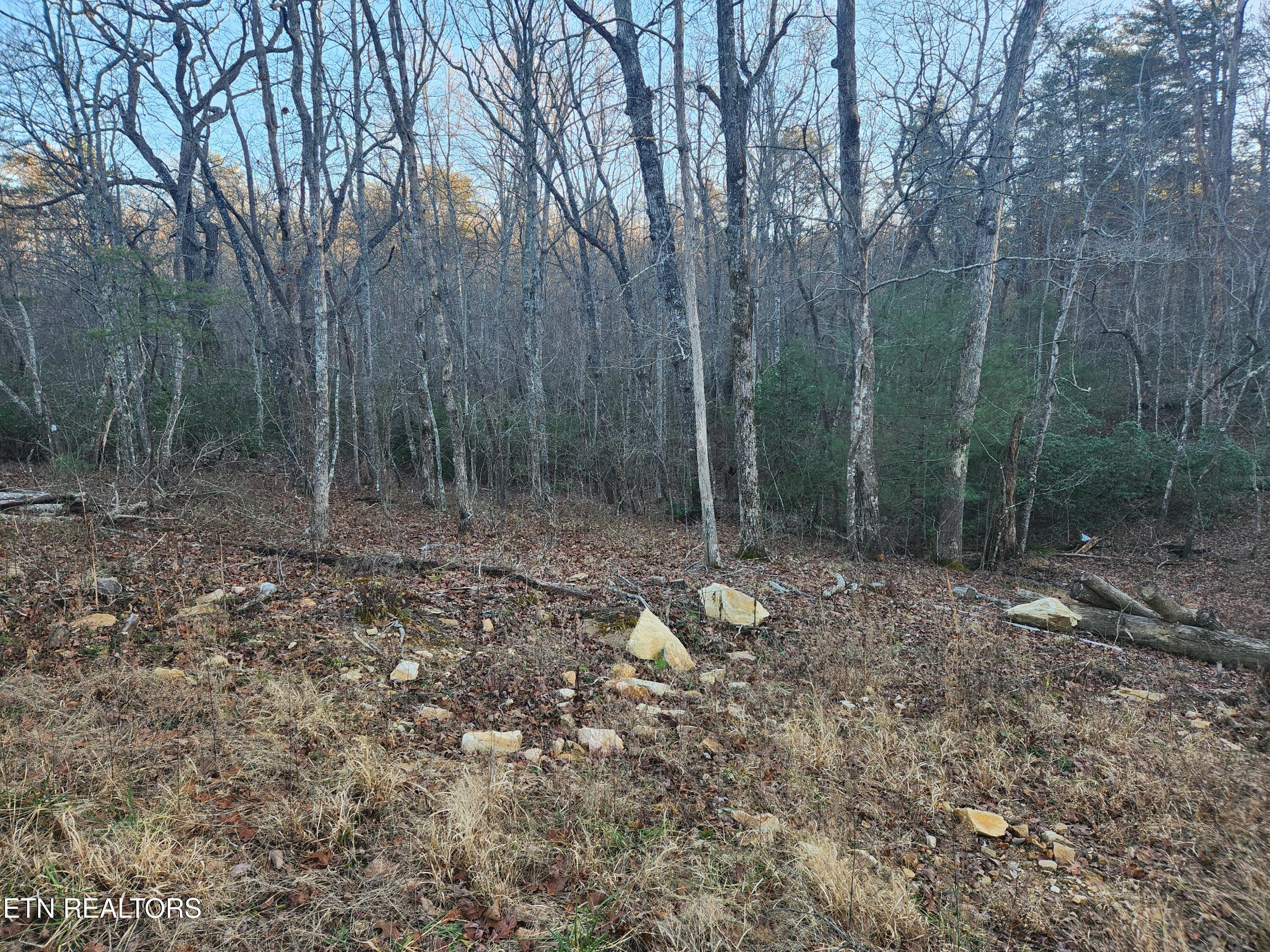 448 St George Drive Crossville, TN 38558 - Photo 4 of 8 20260113_160831