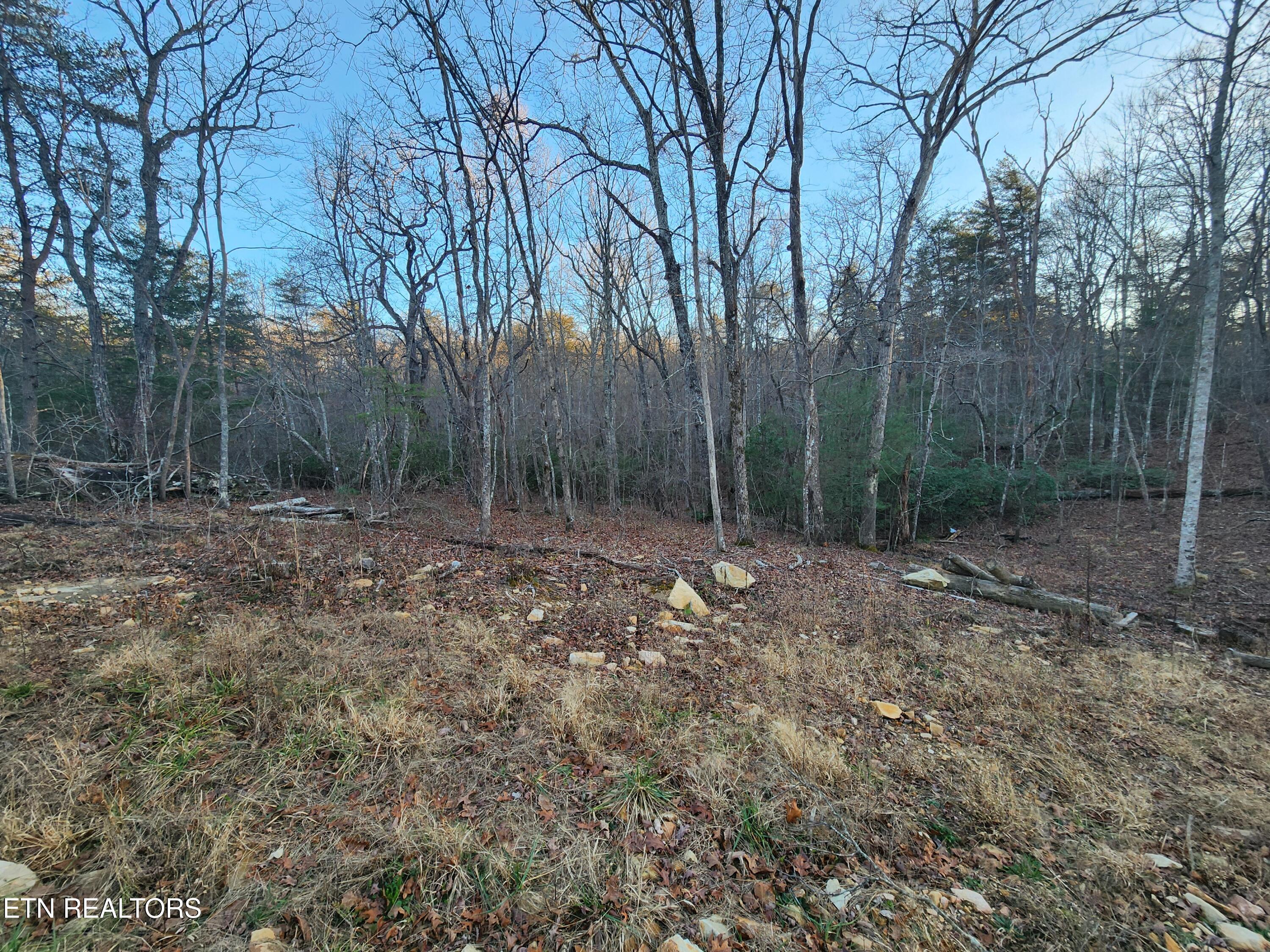 448 St George Drive Crossville, TN 38558 - Photo 5 of 8 20260113_160841