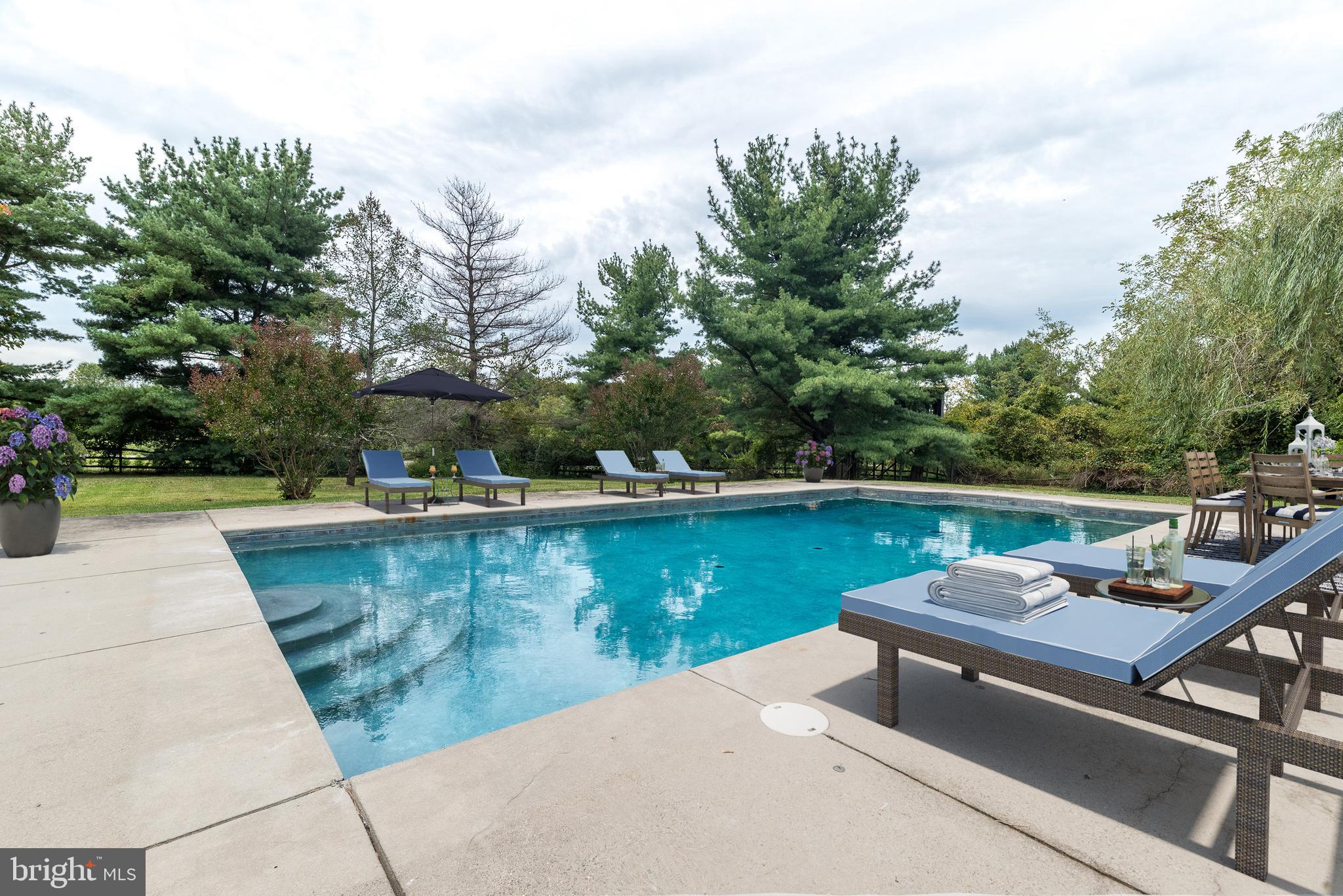 1341 Durham Road New Hope, PA 18938 - Photo 20 of 75 Salt Water Pool