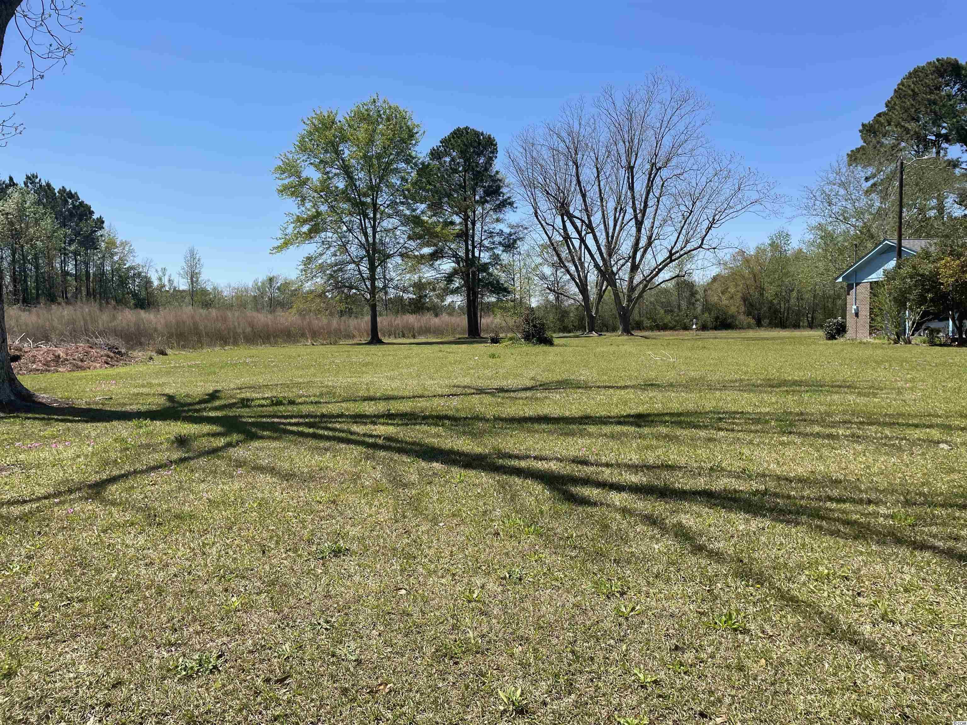 Tbd Sparrow Lane Loris, SC 29569 - Photo 2 of 7
