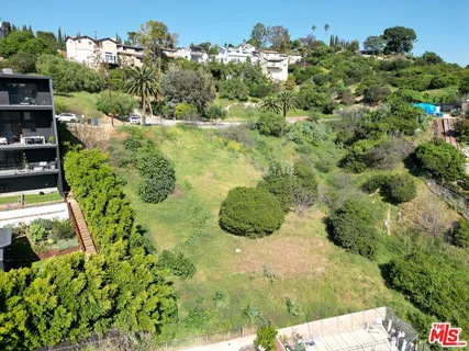 a view of a garden with a fountain