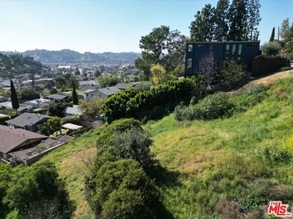 a view of a garden with mountains in the background