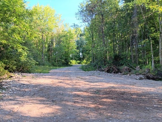 Huntley Road Marion, NY 14505 - Photo 3 of 11