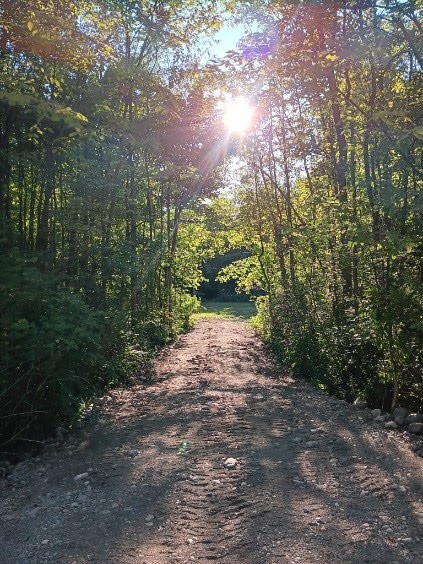 Huntley Road Marion, NY 14505 - Photo 9 of 11