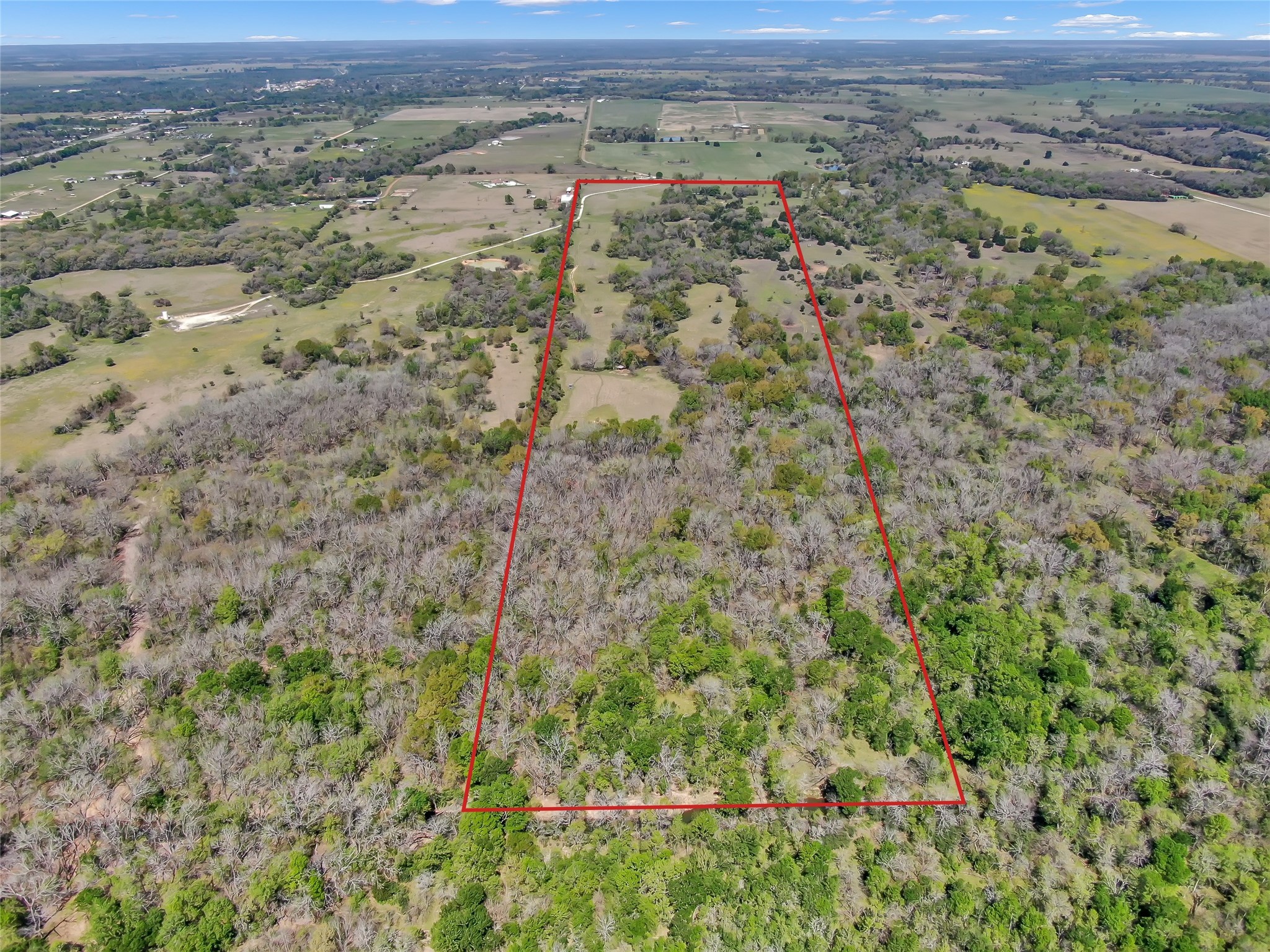 0 South Hickory Loop Calvert, TX 77837 - Photo 14 of 21 Perfect mixture of hardwood trees, waterfront features, open pastures, and rolling and level terrain