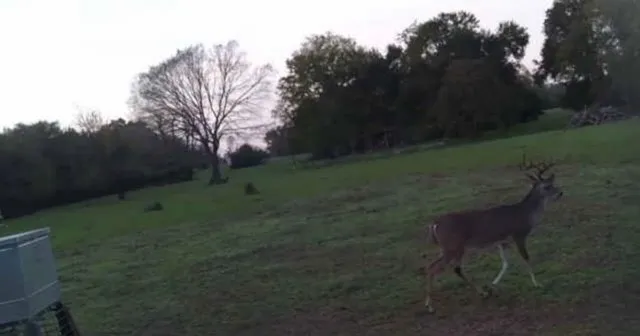 $665,000 | 0 South Hickory Loop, Calvert, TX 77837