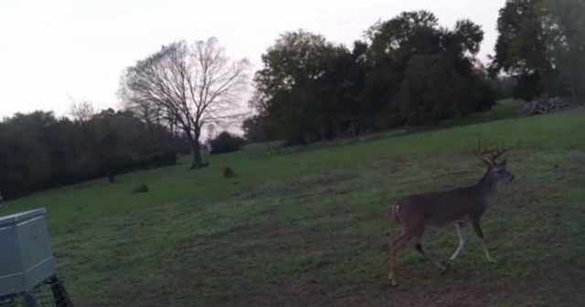 0 South Hickory Loop Calvert, TX 77837 - Photo 17 of 21