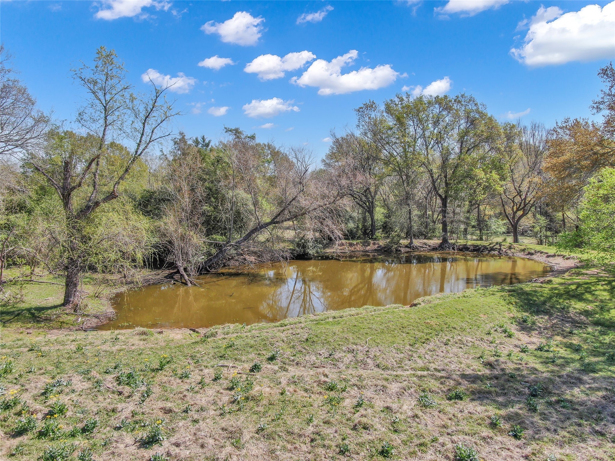 0 South Hickory Loop Calvert, TX 77837 - Photo 4 of 21 Stocked pond located in the middle of property