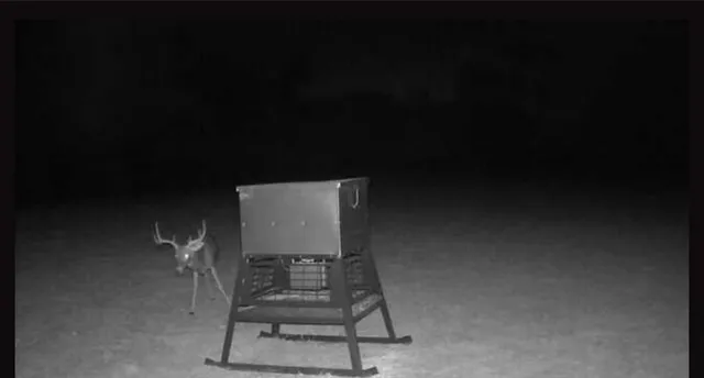 $665,000 | 0 South Hickory Loop, Calvert, TX 77837