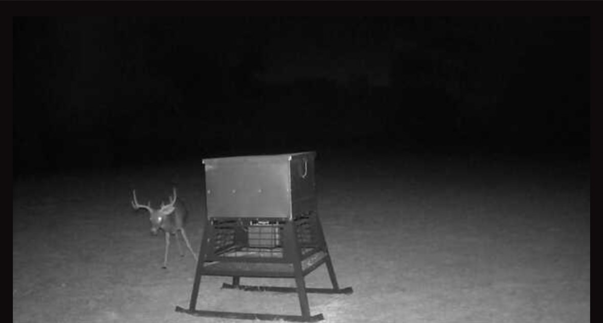 0 South Hickory Loop Calvert, TX 77837 - Photo 8 of 21